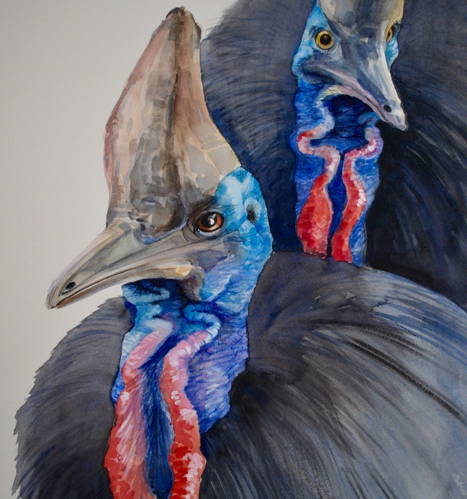 Cassowaries Beware , Original Artwork