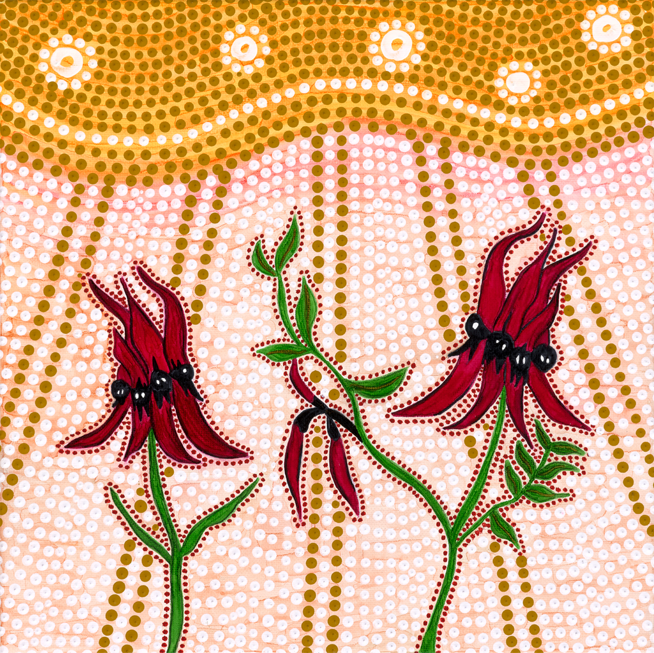 Sturts Desert Peas