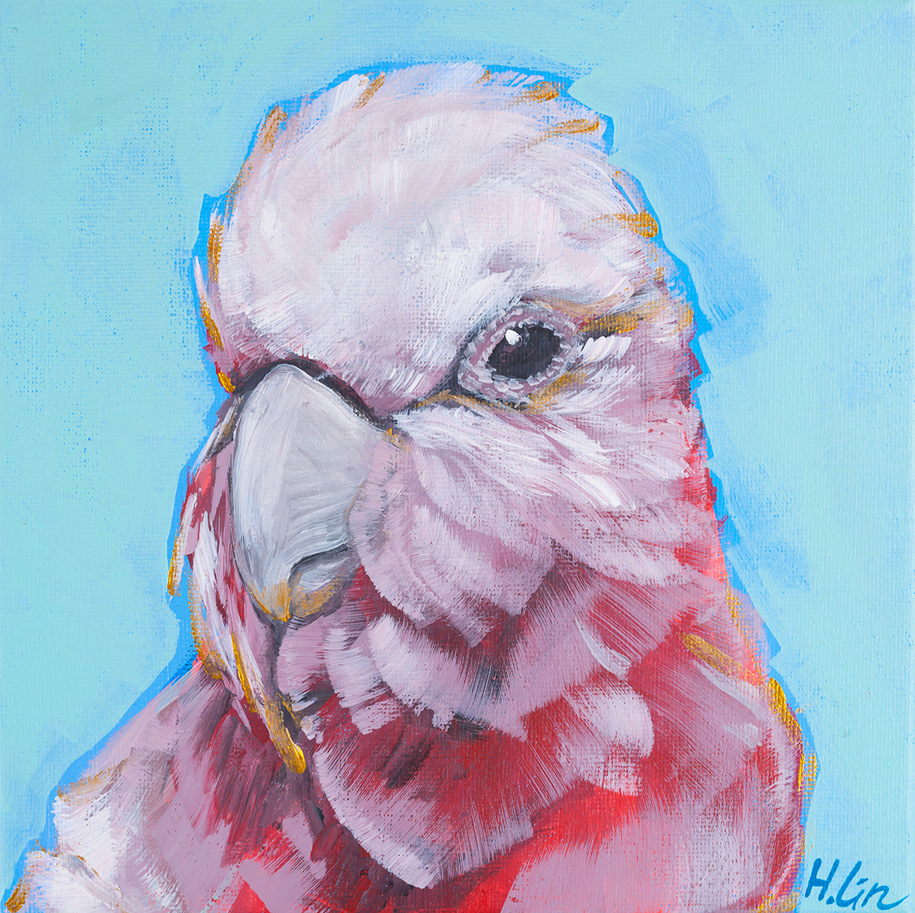 Pink Galah