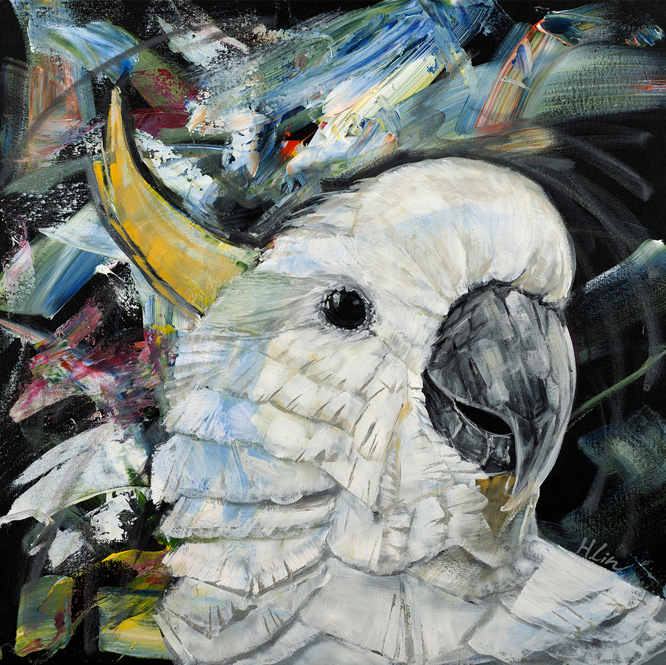 Sulphur Crested Cockatoo