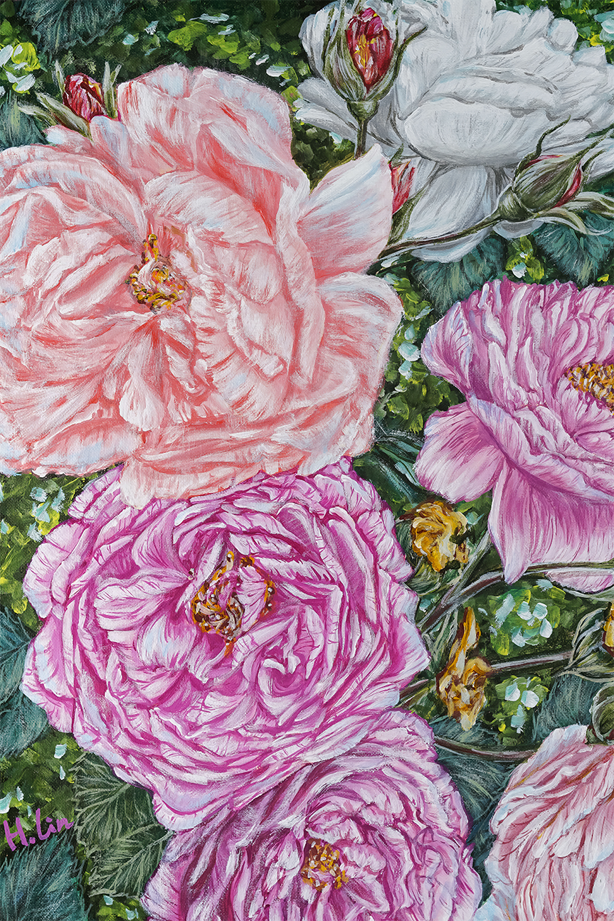 Peonies