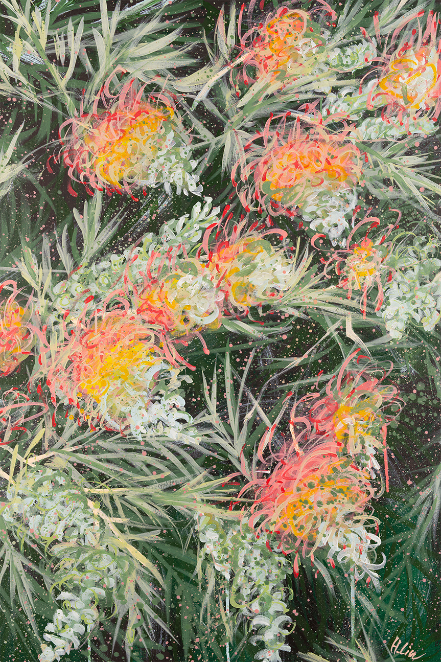 Grevillea Peaches and Cream