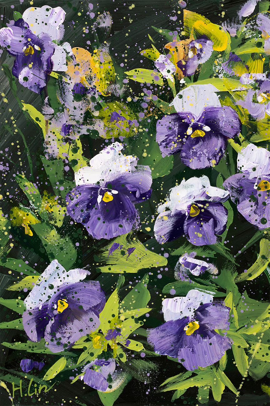 Pansies, Violas, Swiss Giant, Purple and White