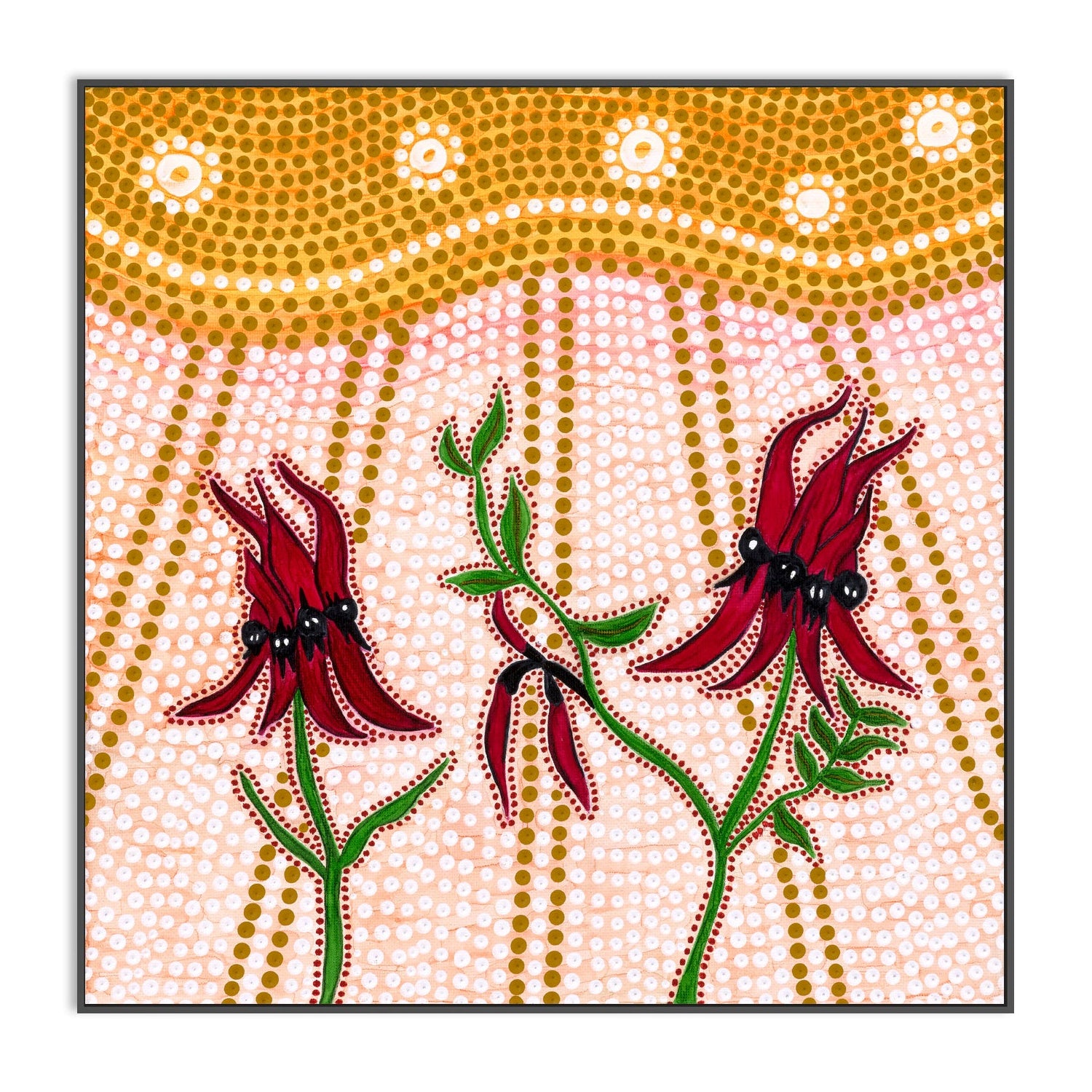 Sturts Desert Peas