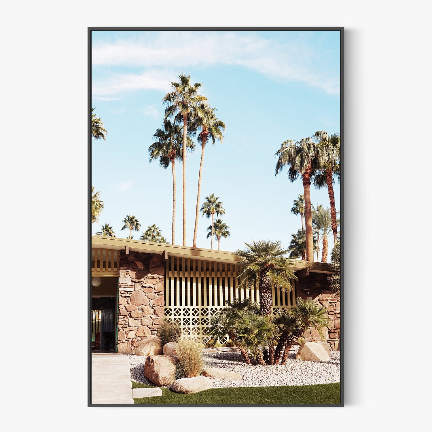 Summer Day At Palm Springs