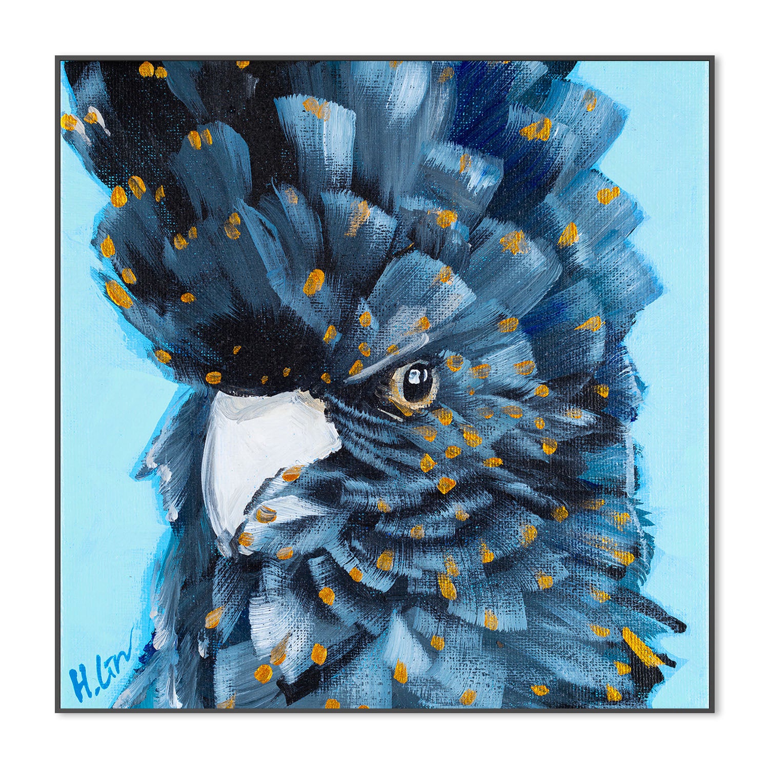 Black Cockatoo