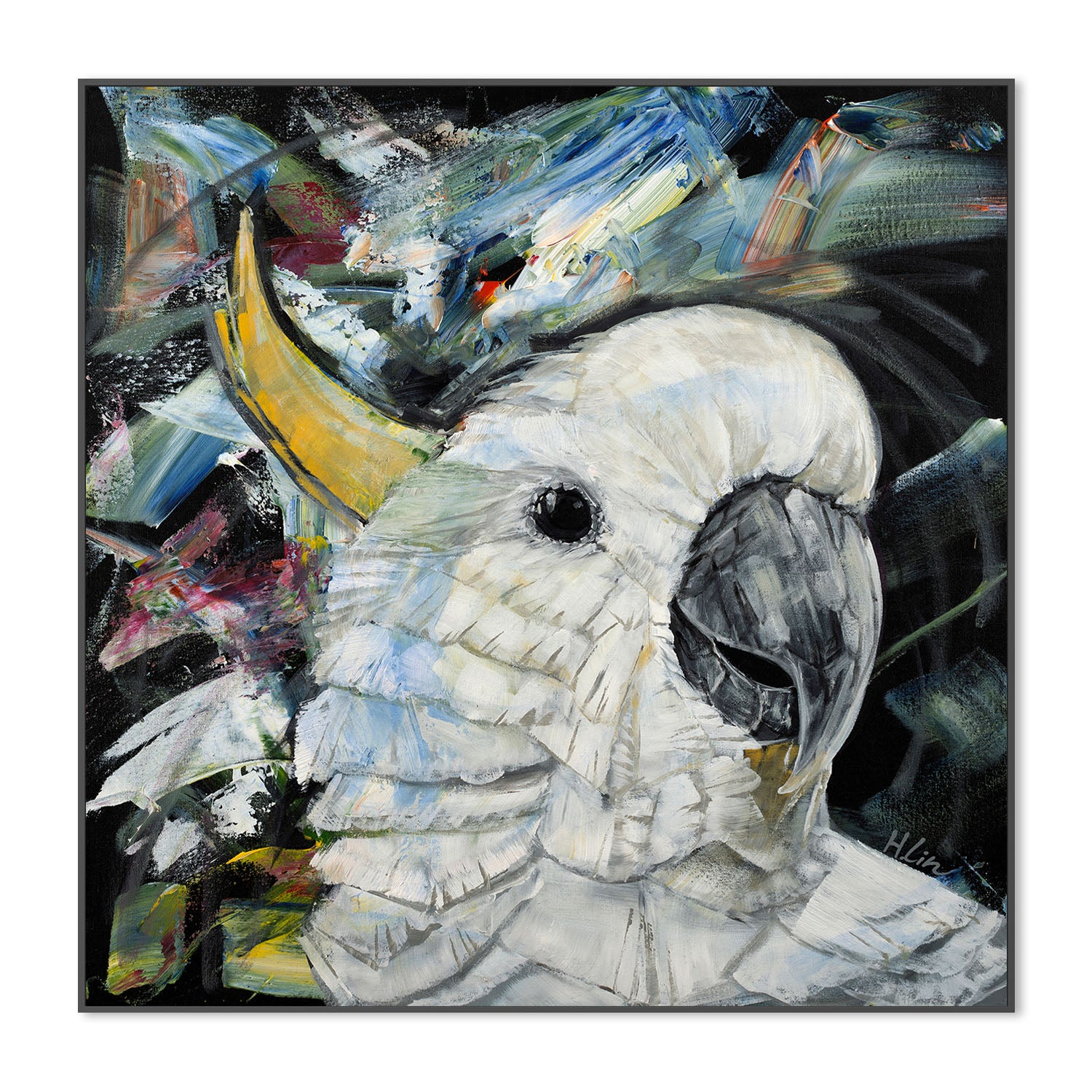 Sulphur Crested Cockatoo