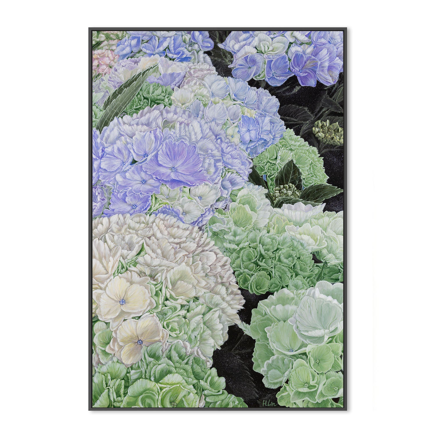 Premium Hydrangea