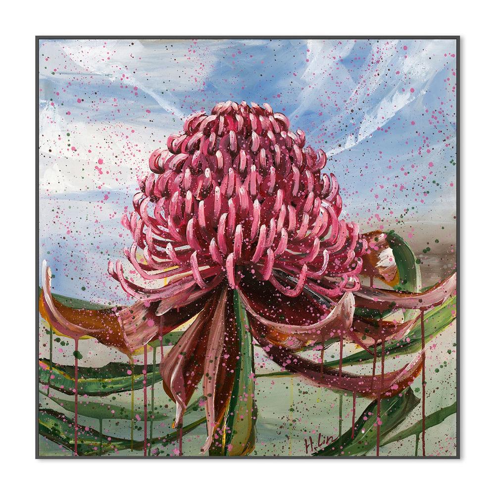 Bright Red Waratah