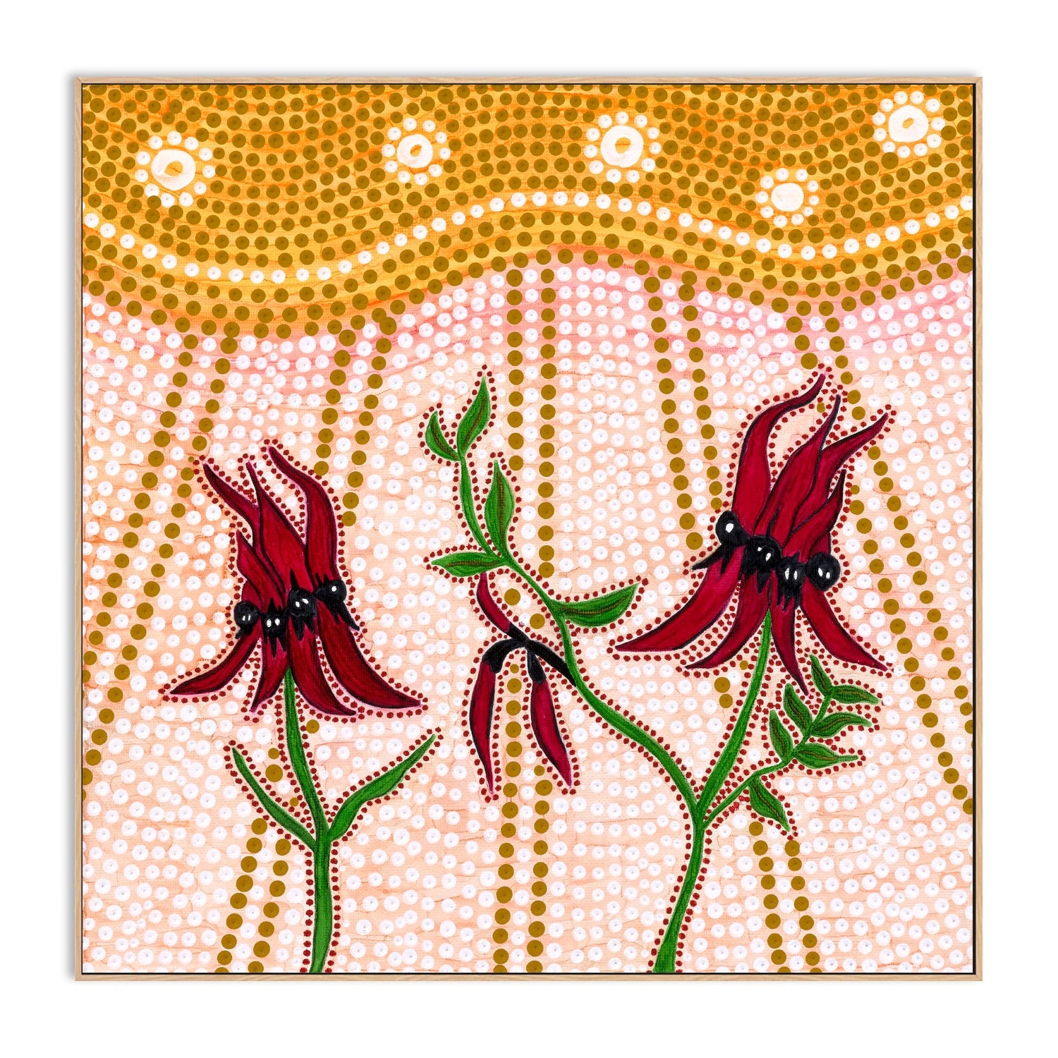 Sturts Desert Peas