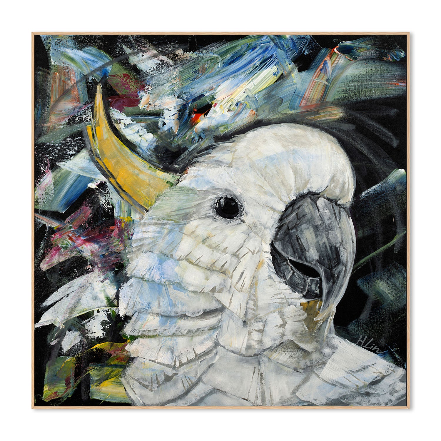 Sulphur Crested Cockatoo