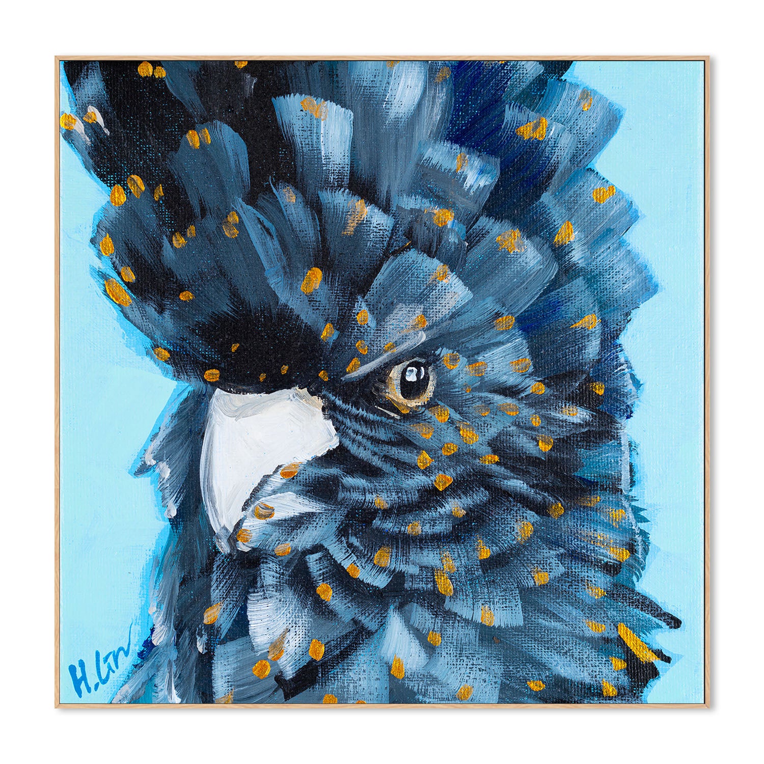 Black Cockatoo