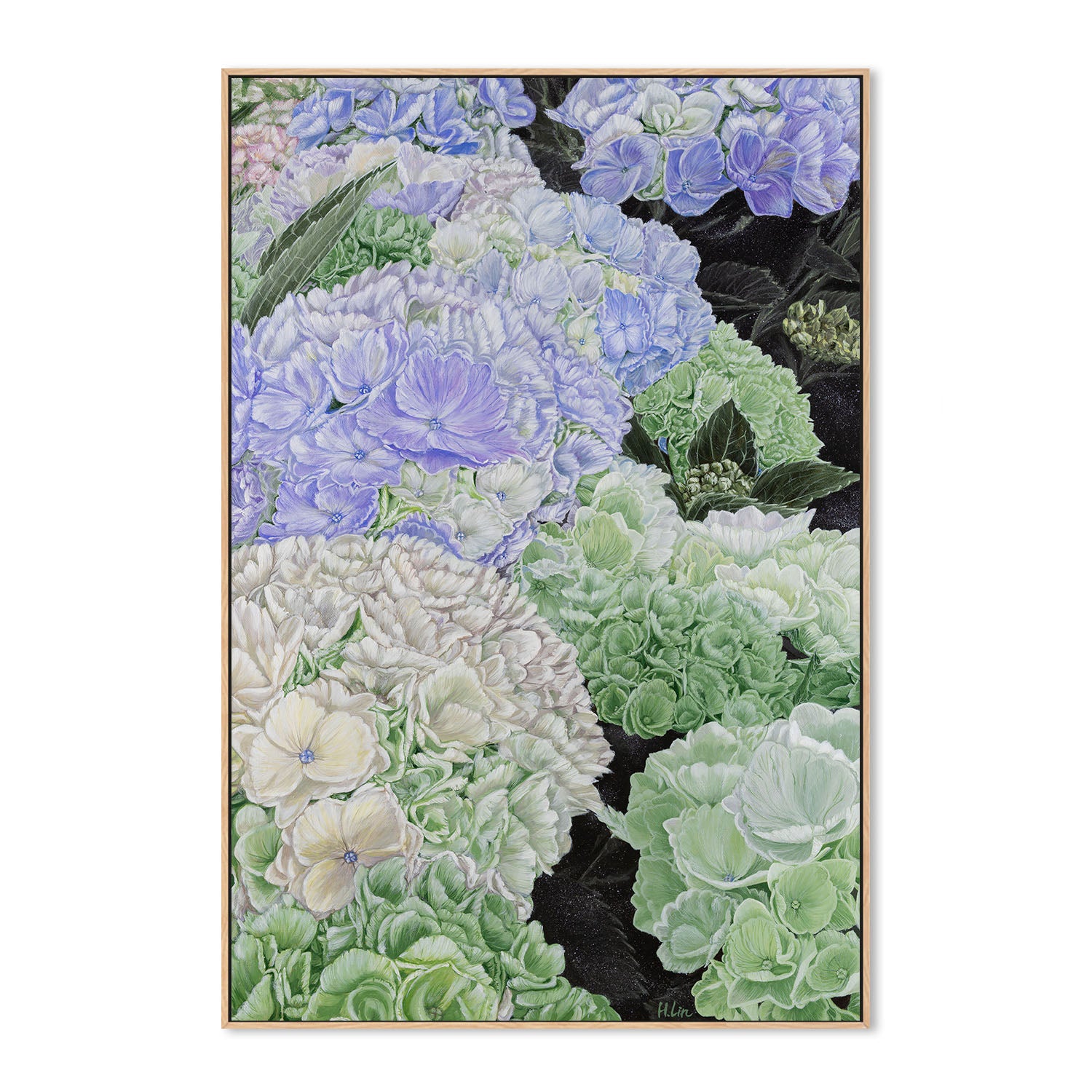 Premium Hydrangea