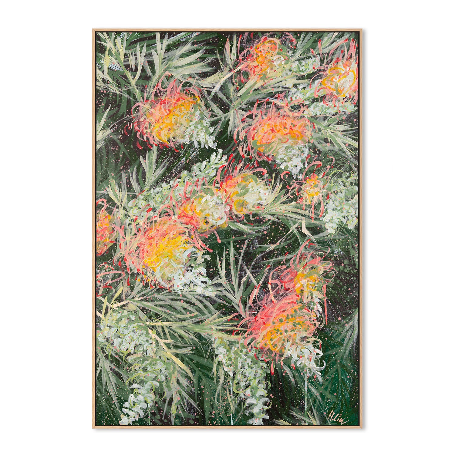 Grevillea Peaches and Cream