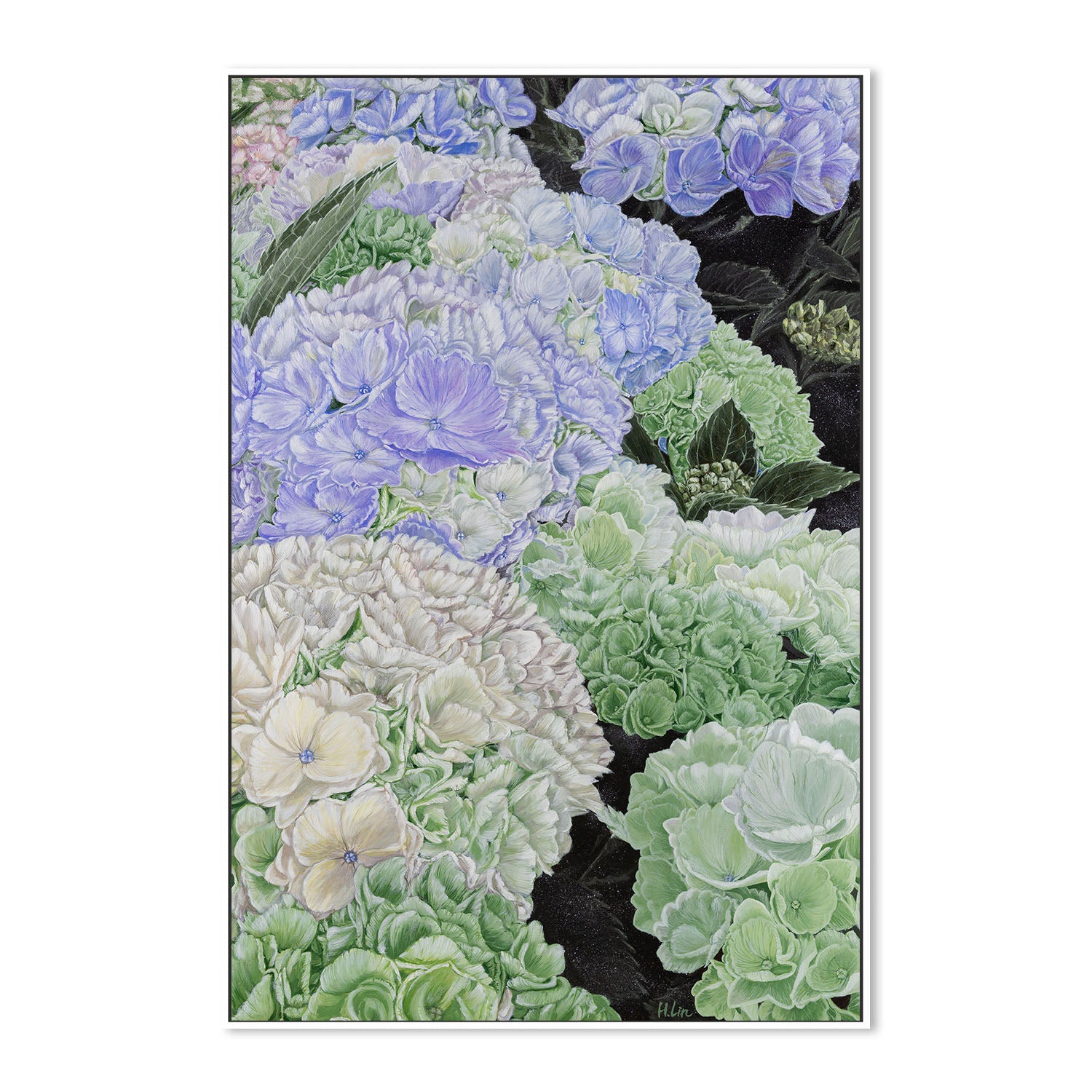 Premium Hydrangea