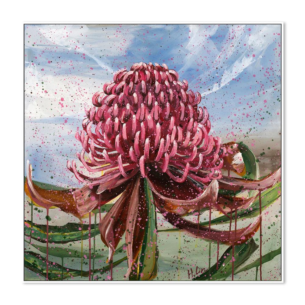 Bright Red Waratah