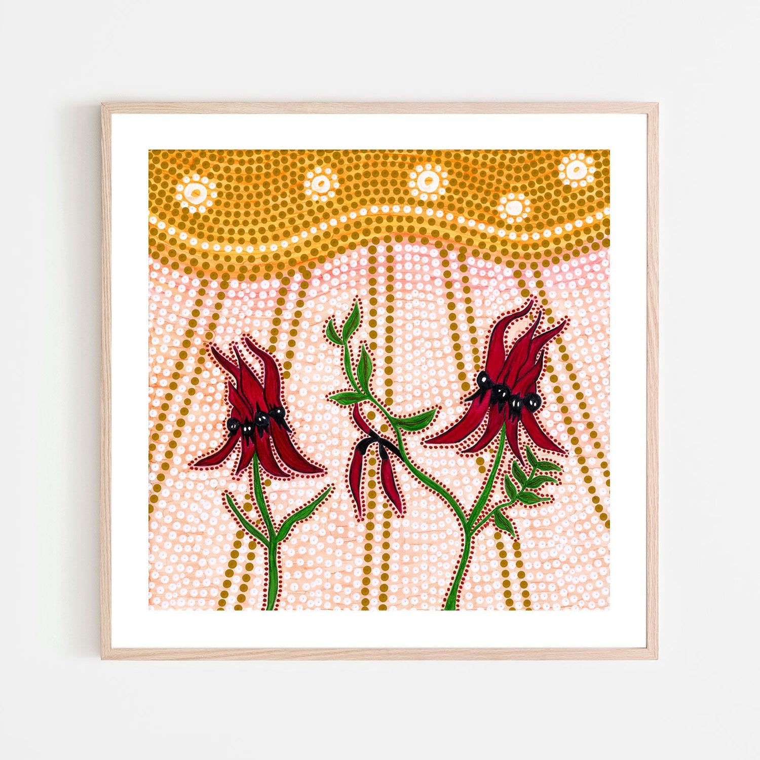 Sturts Desert Peas