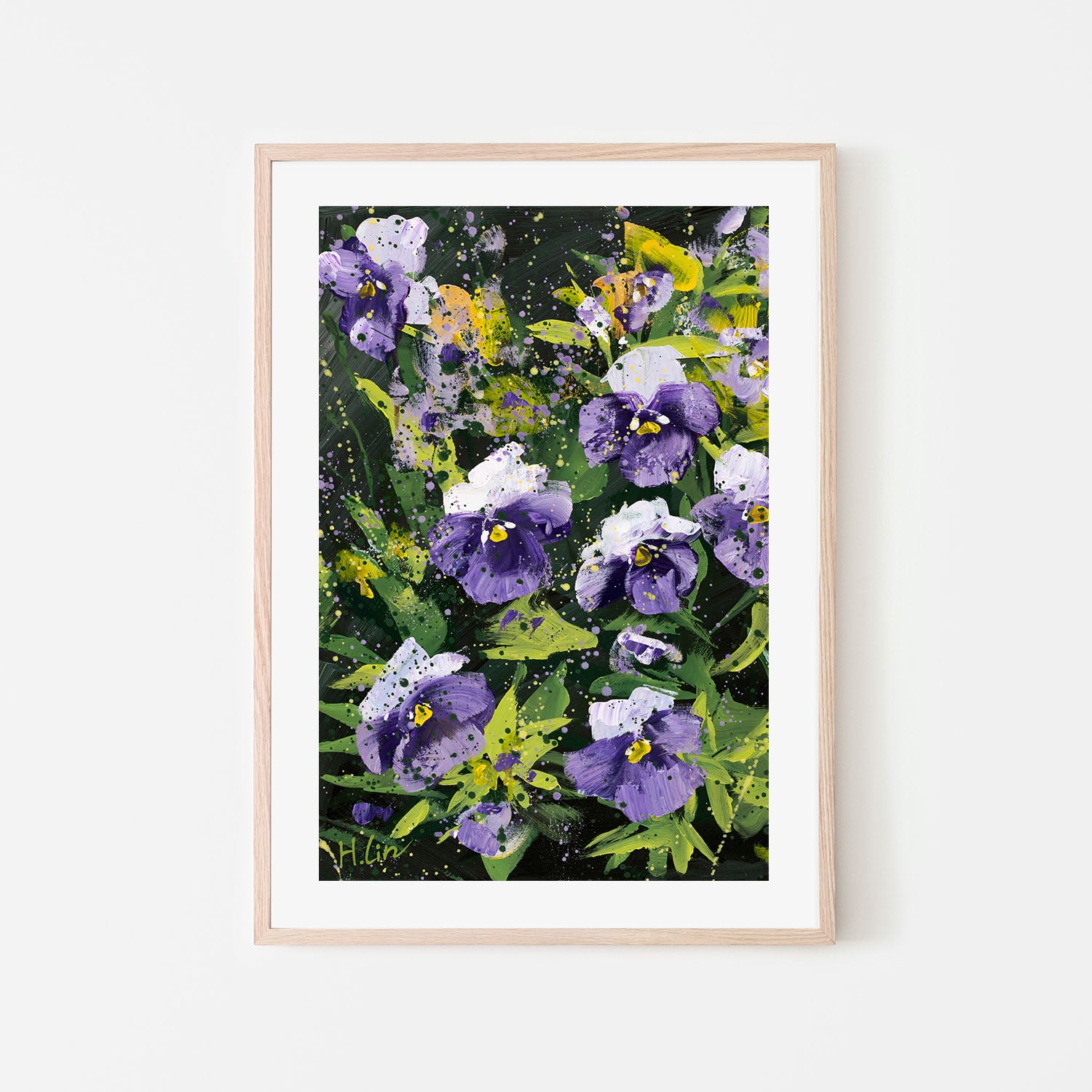 Pansies, Violas, Swiss Giant, Purple and White