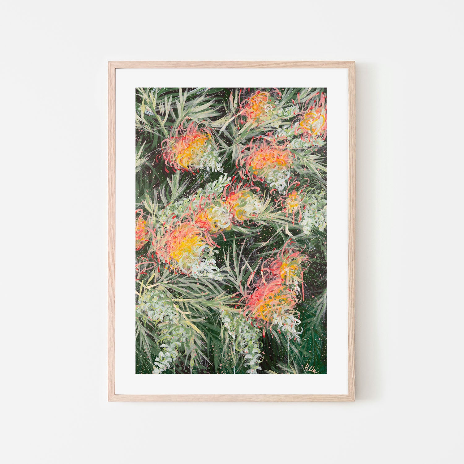 Grevillea Peaches and Cream