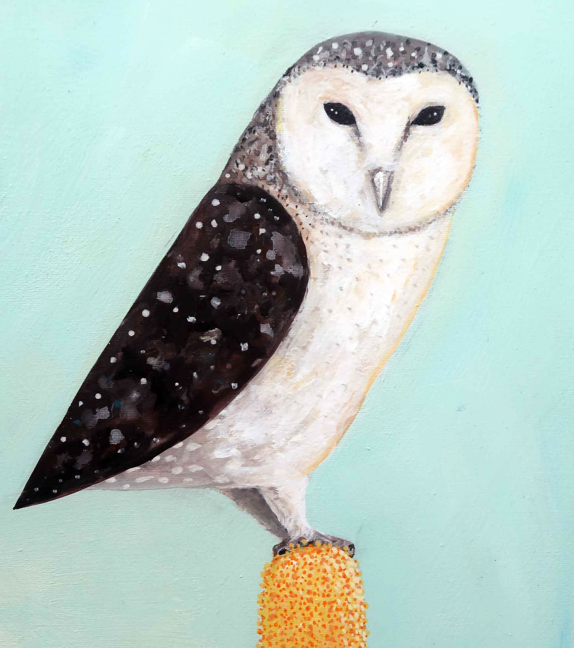 The Owl and the Banksia