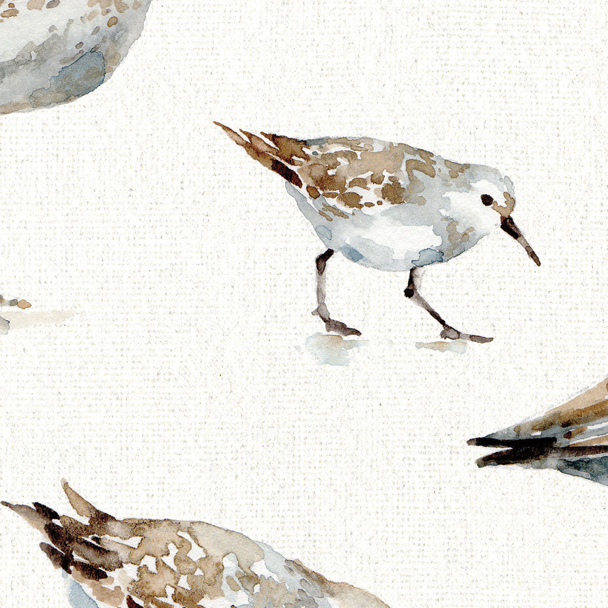 Pebbles and Sandpipers Pattern I