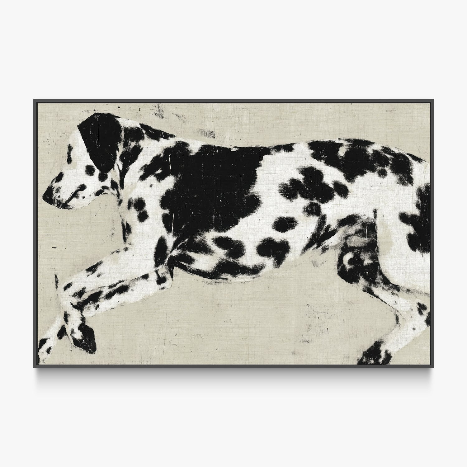 Dalmatian Dog Minimalist