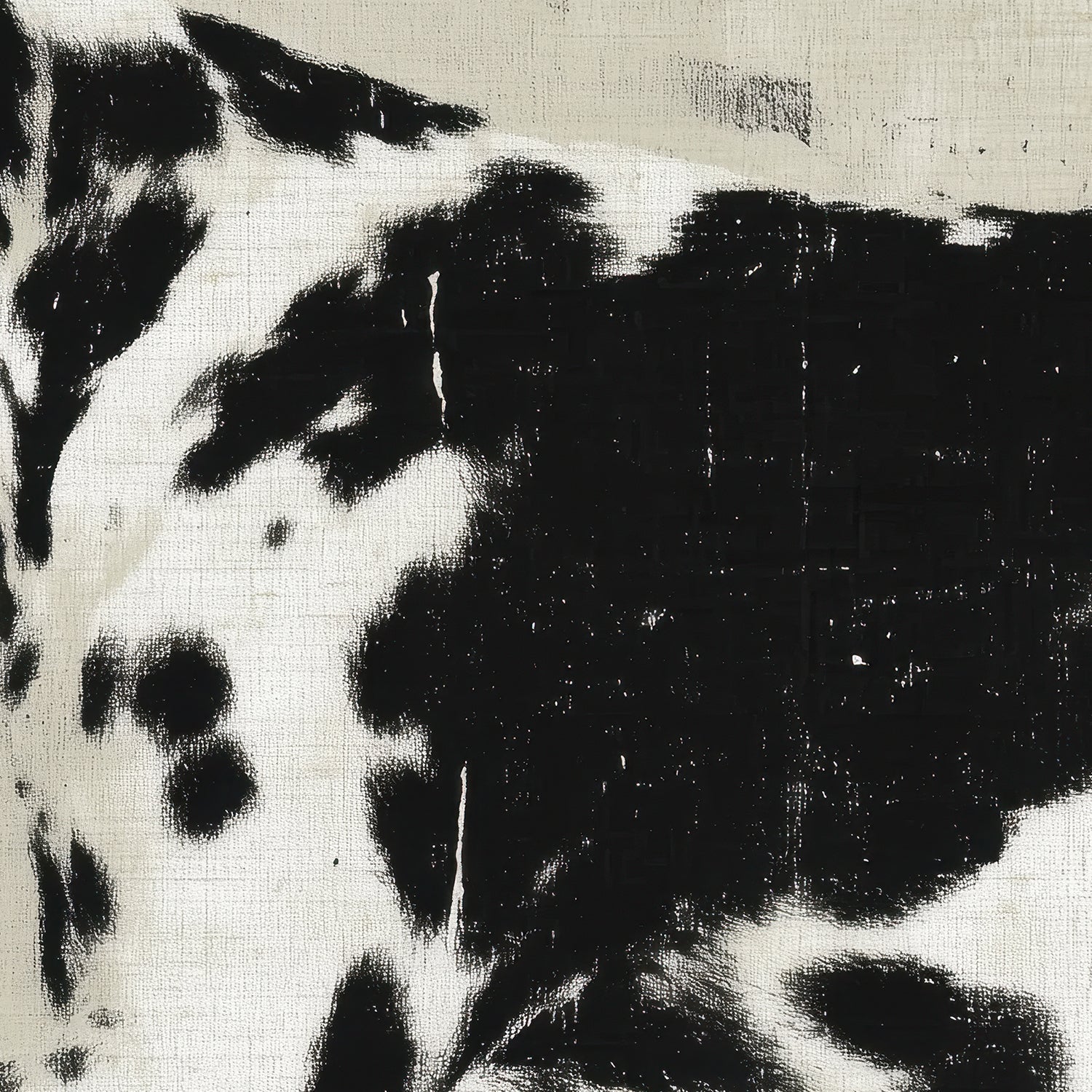 Dalmatian Dog Minimalist