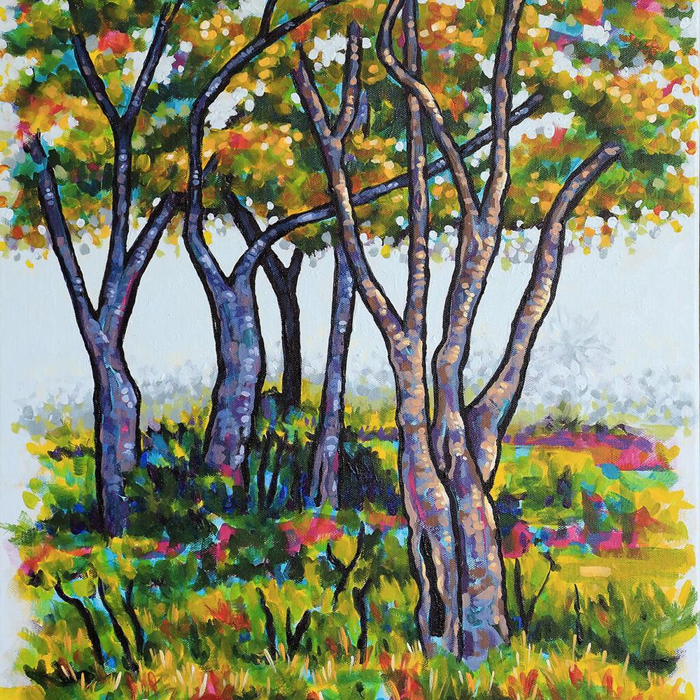 Oasis