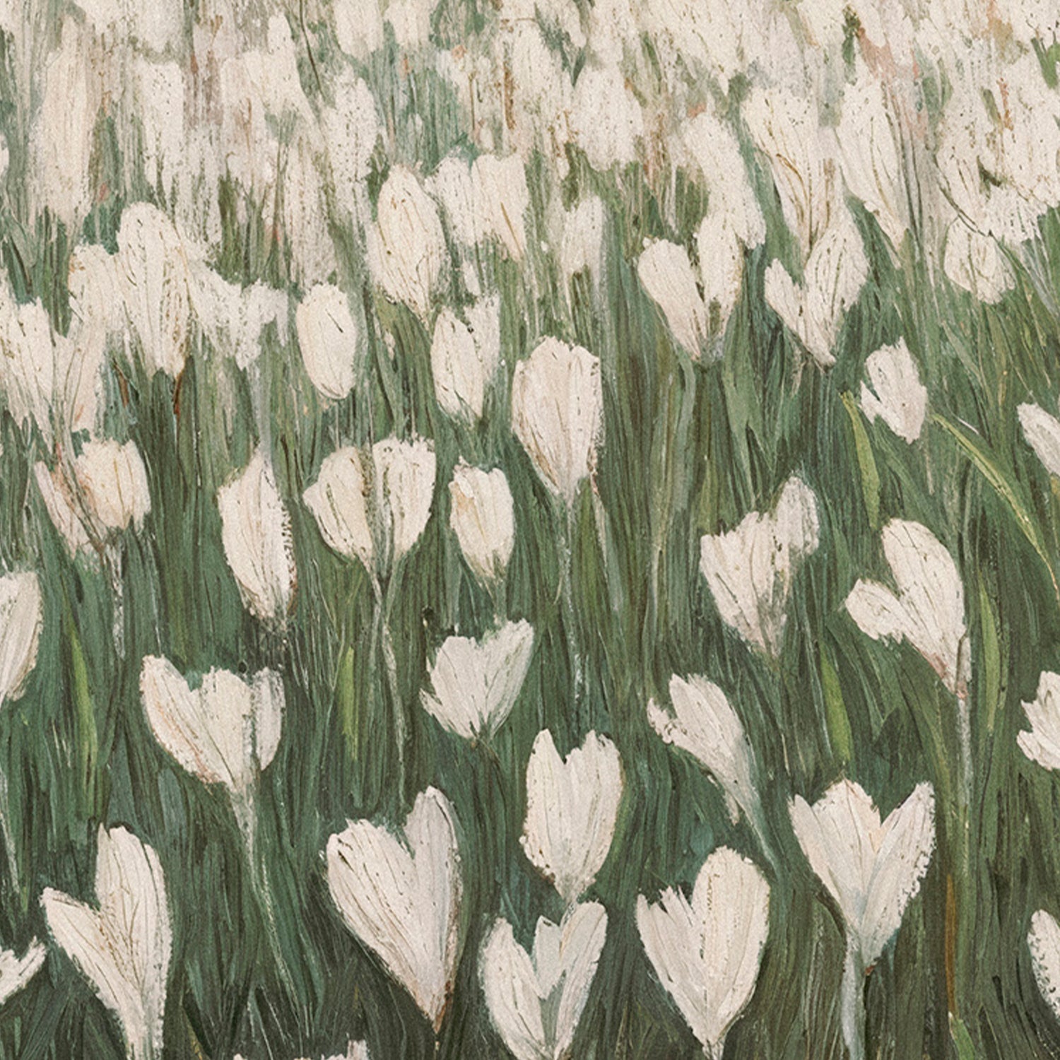 Blooming Meadow , By Lady Hana