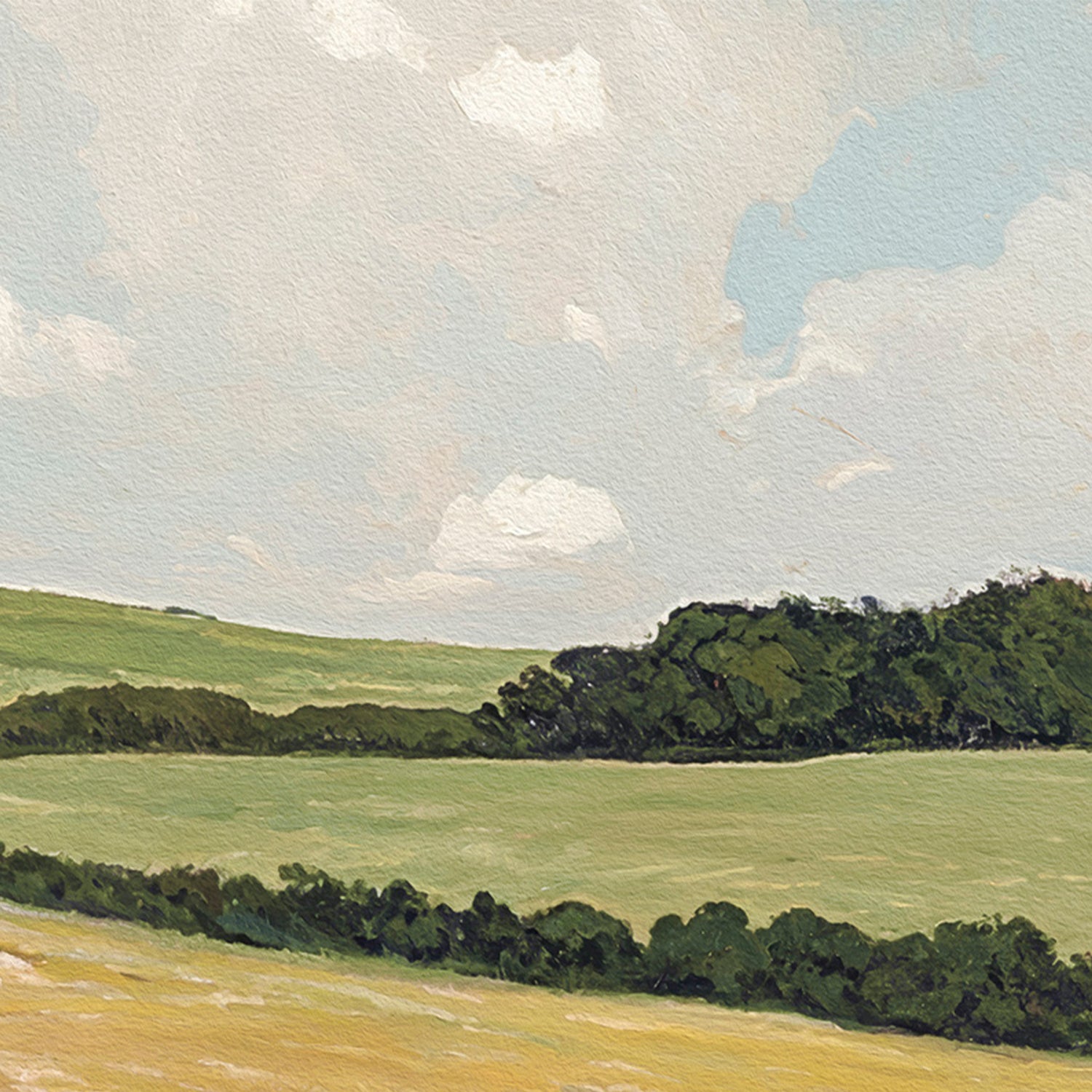 Daisy Field , By Lady Hana