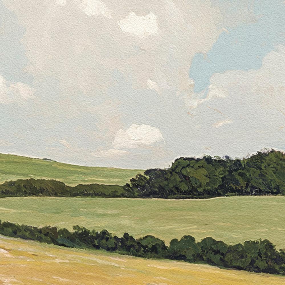 Daisy Field