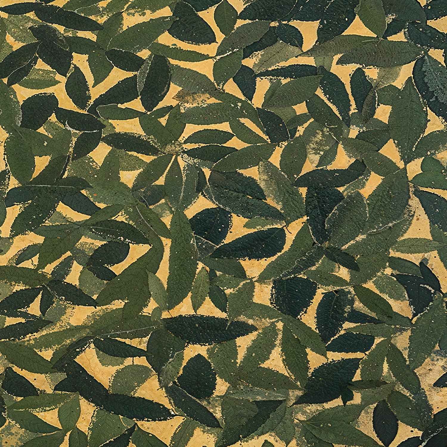 Spring Patch , By Lady Hana