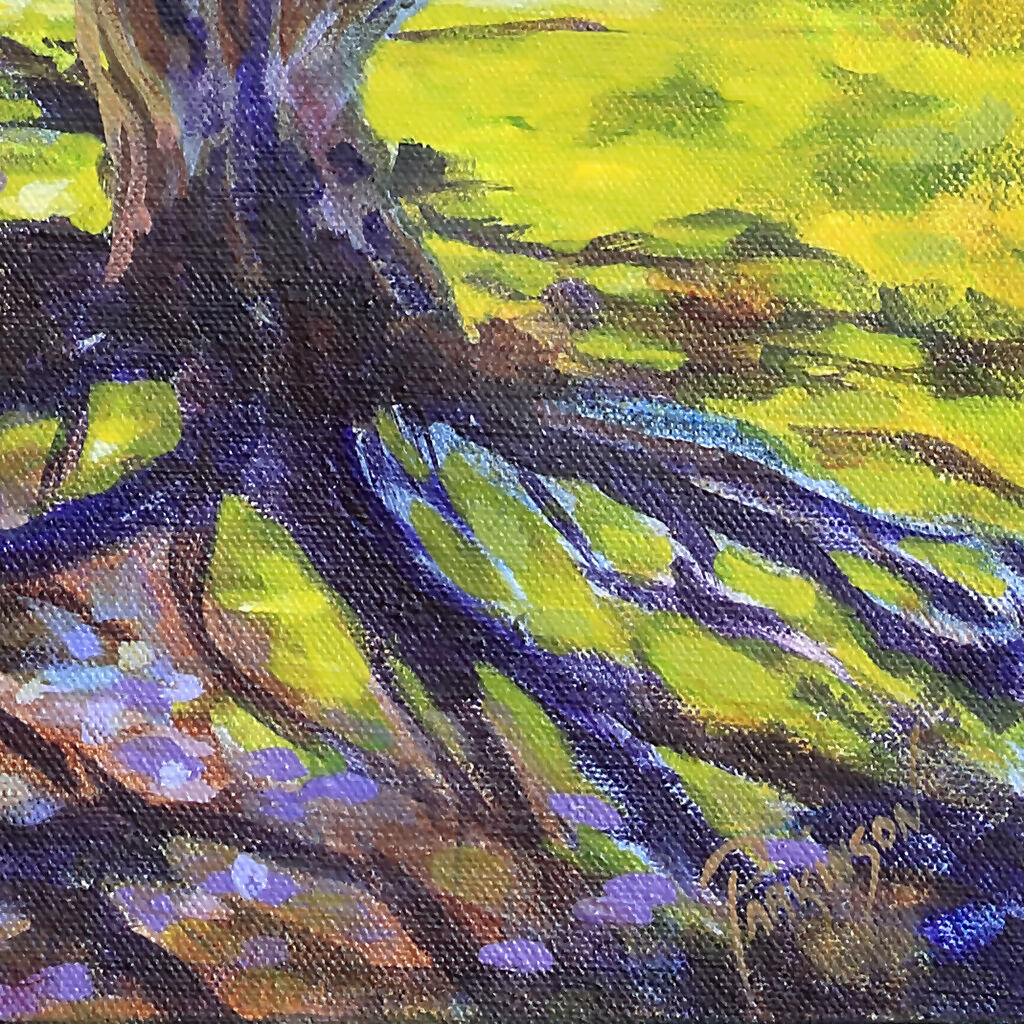 Jacarandas Heralding Summer
