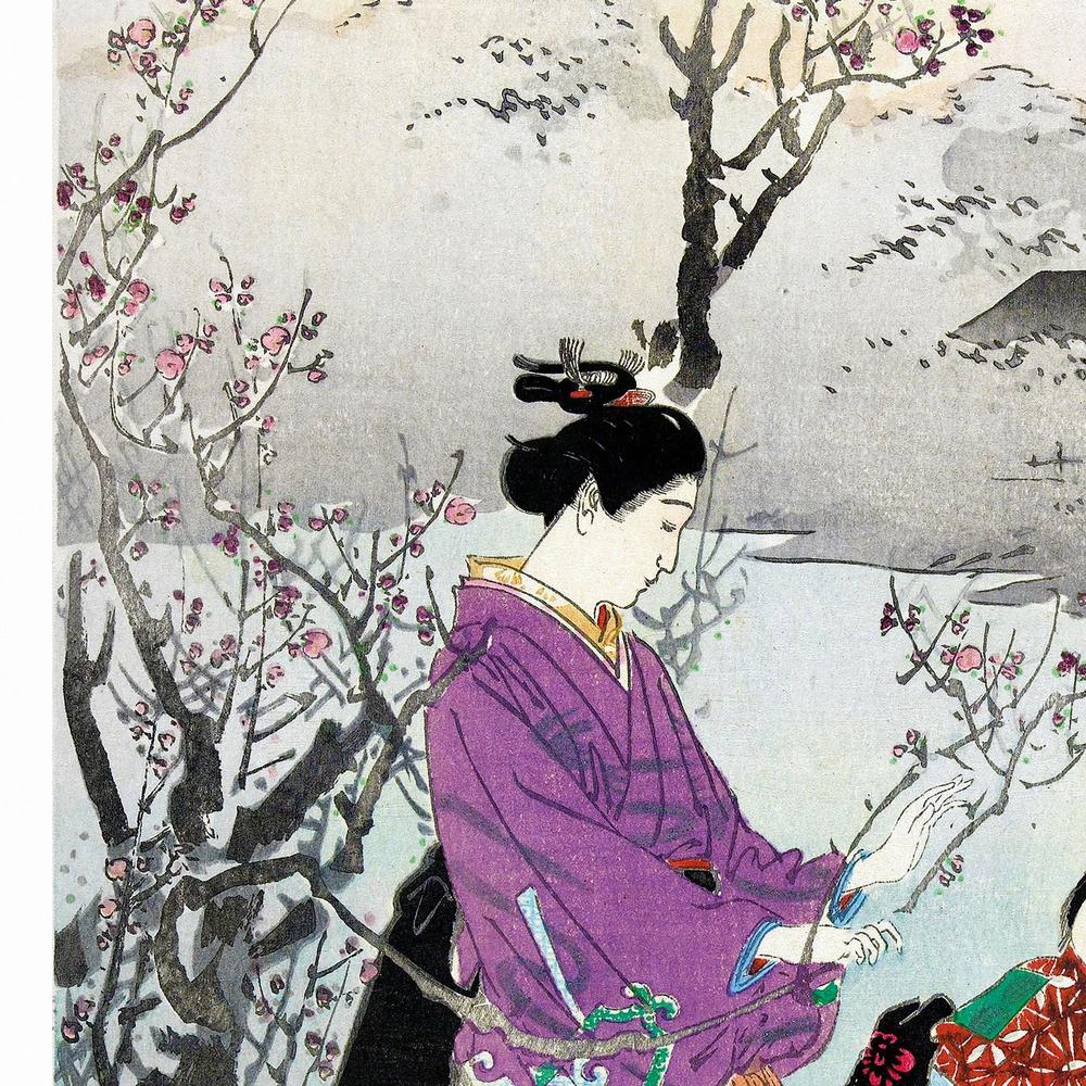 Admiring the Plum Blossom