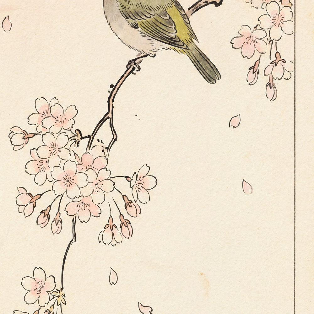 Spring Moon Bird Blossoms