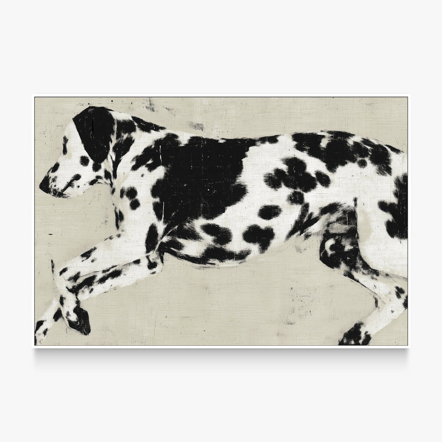Dalmatian Dog Minimalist