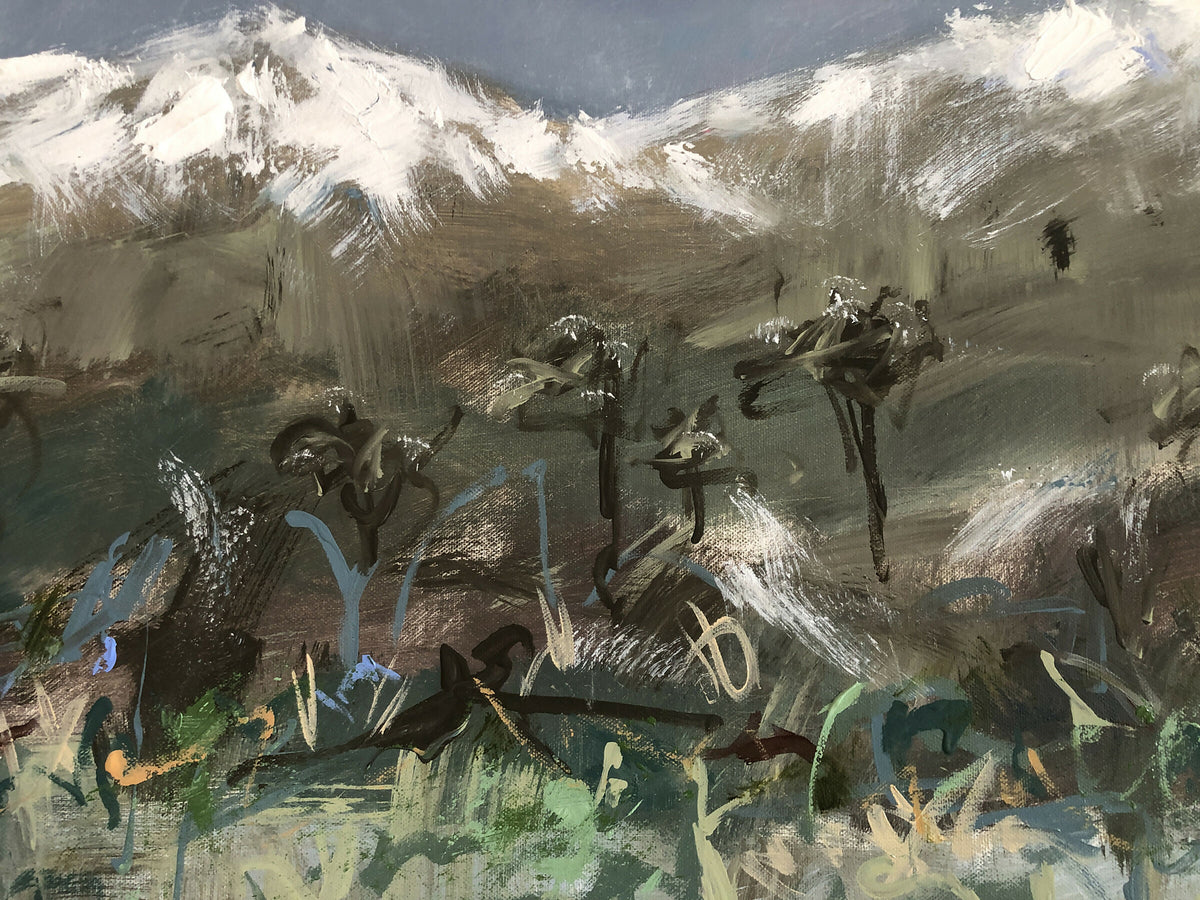 Snowy Mountains Moovements