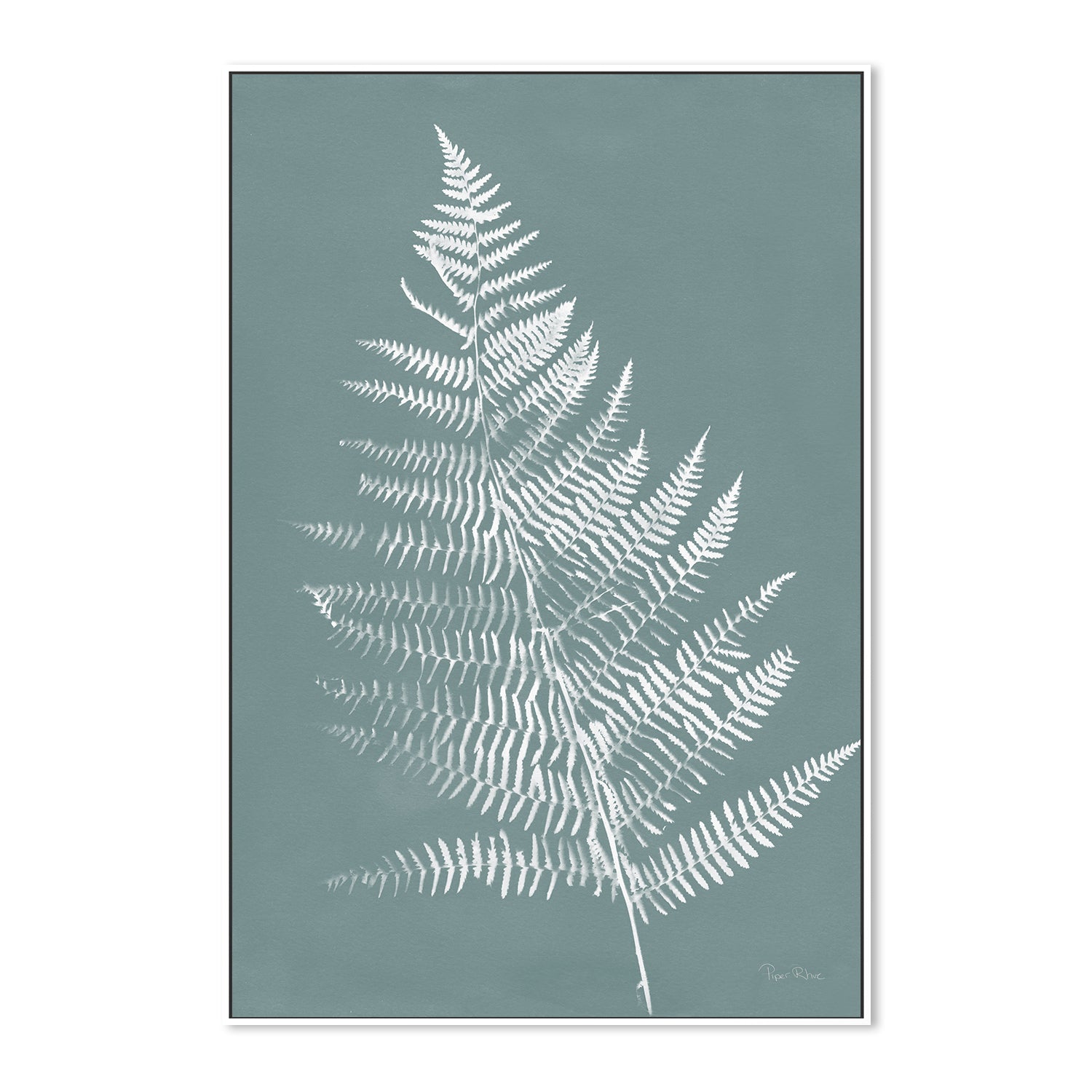 Nature By The Lake Ferns VI