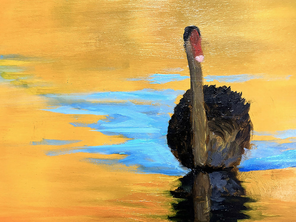 Swan Sunset