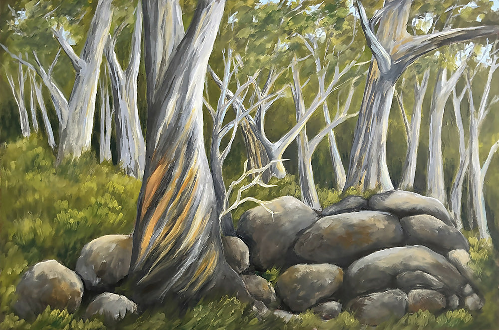Snow Gums