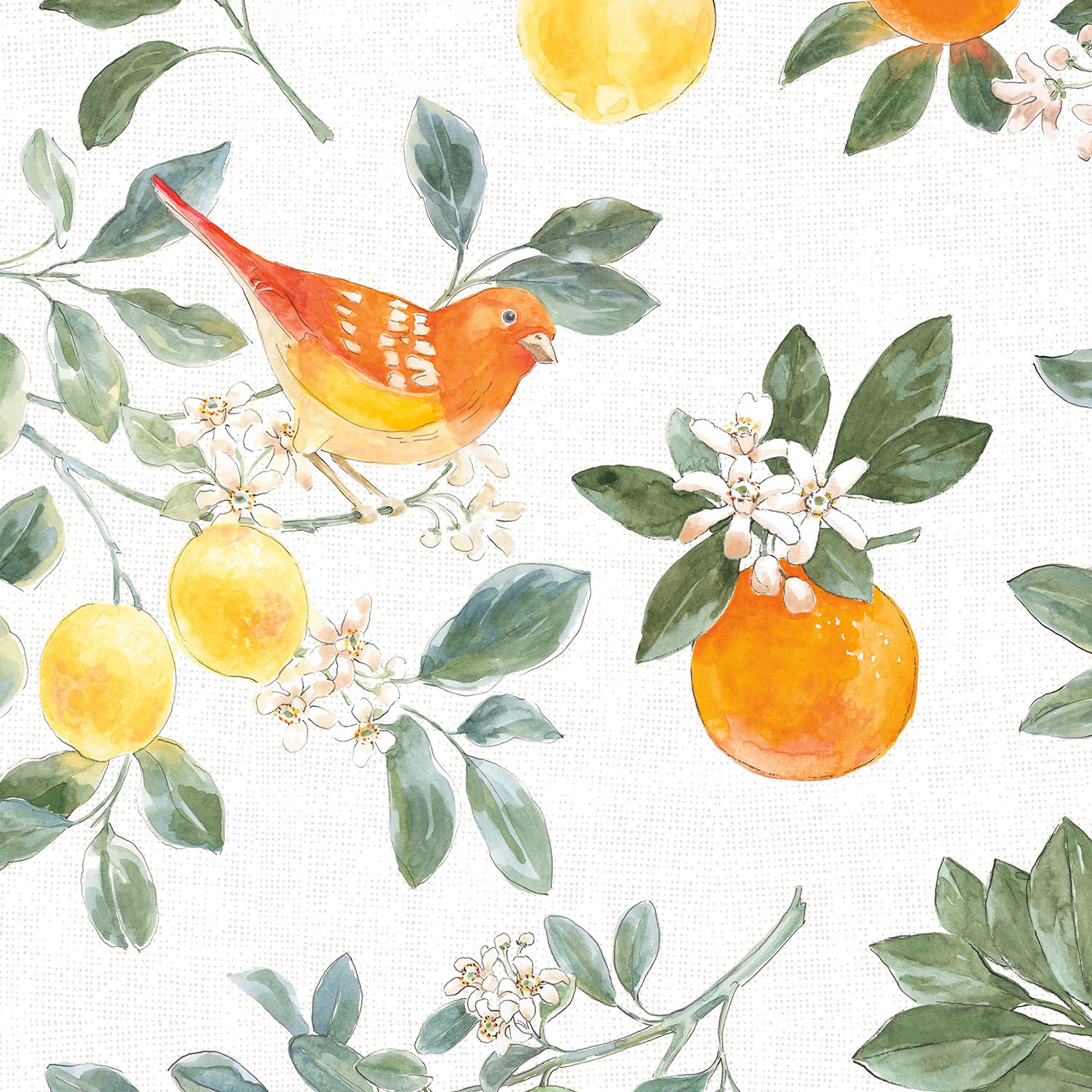 Citrus Wings Pattern IA