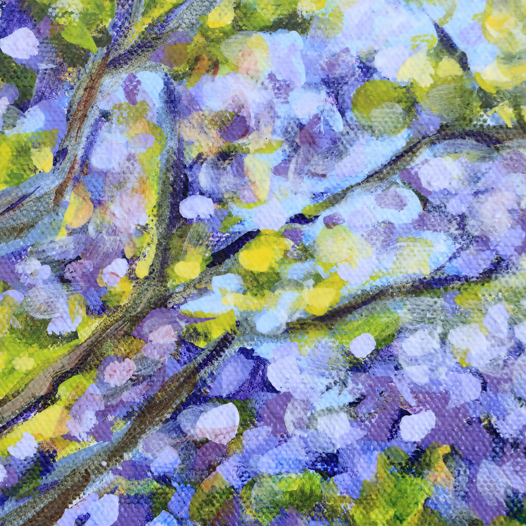 Jacarandas Heralding Summer