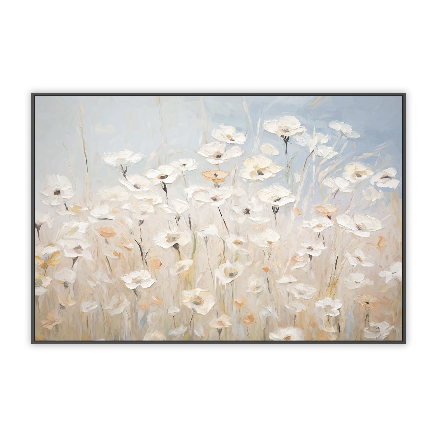 Daisy Meadow