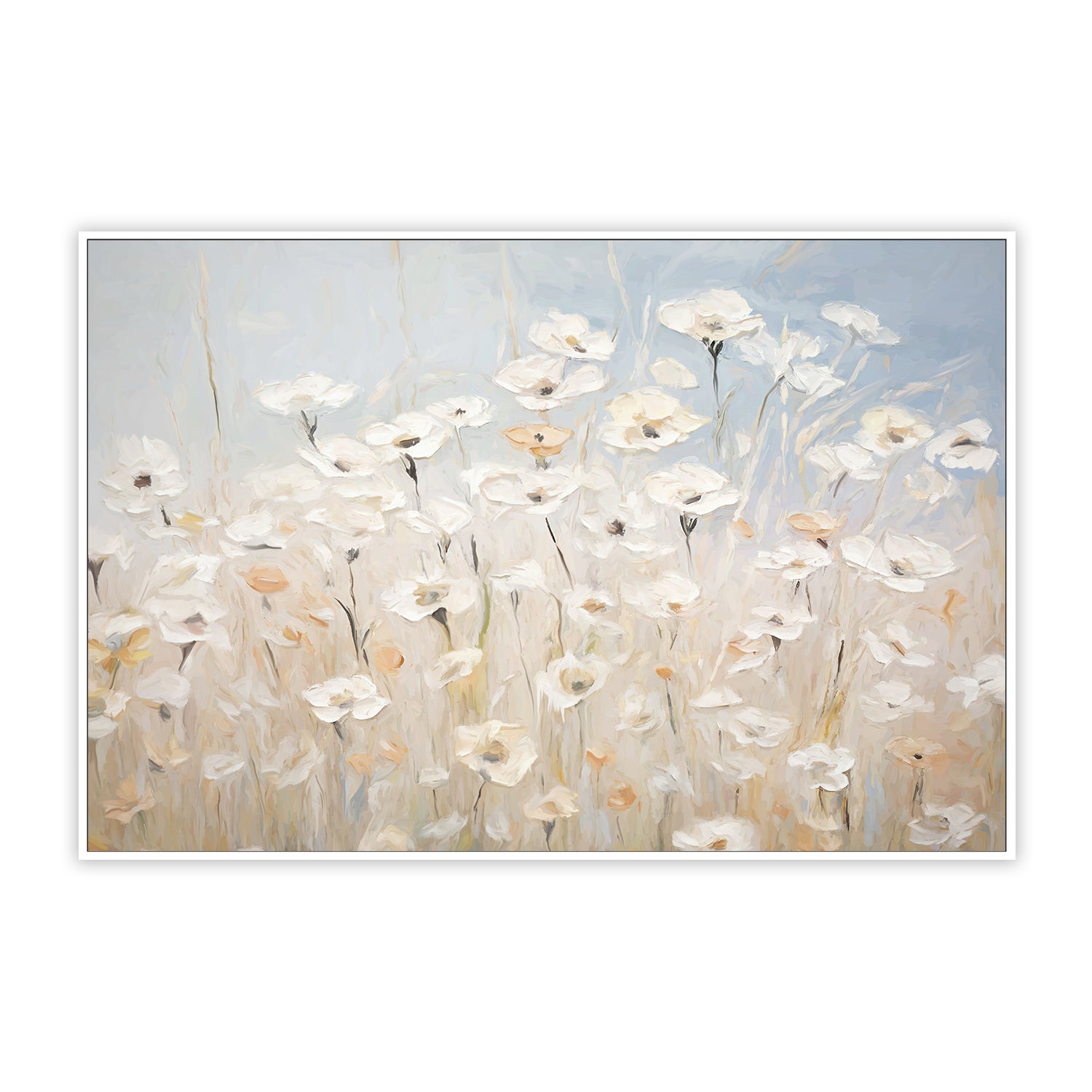 Daisy Meadow