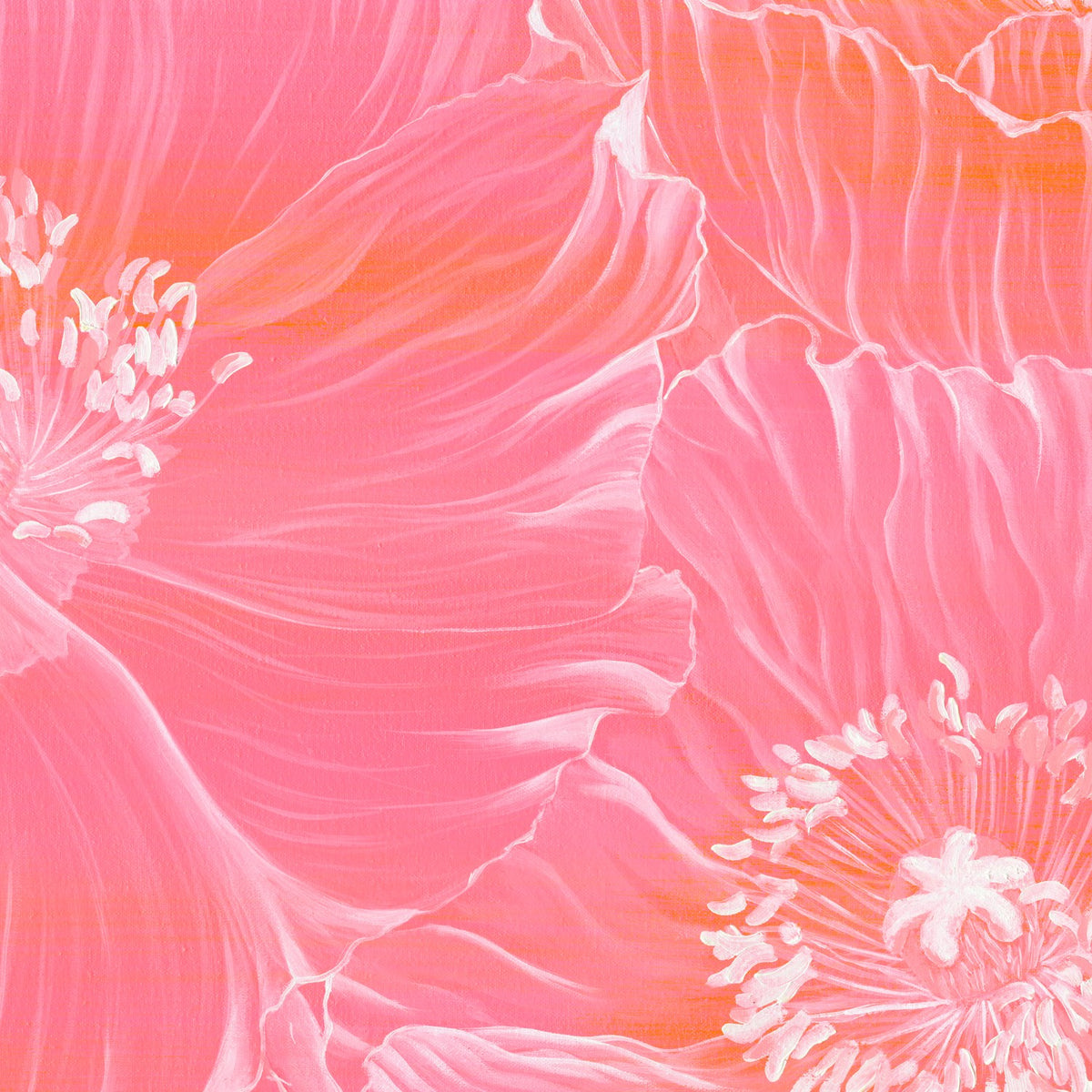 Poppies