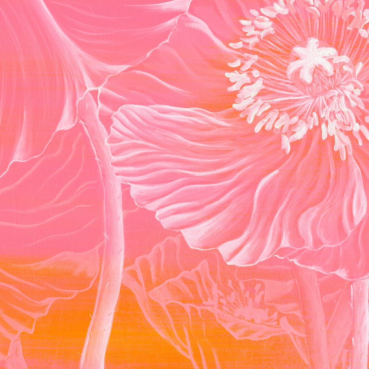 Poppies