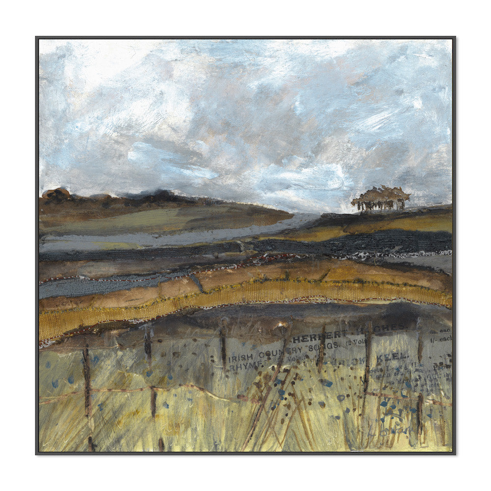 Autumn Meadow View