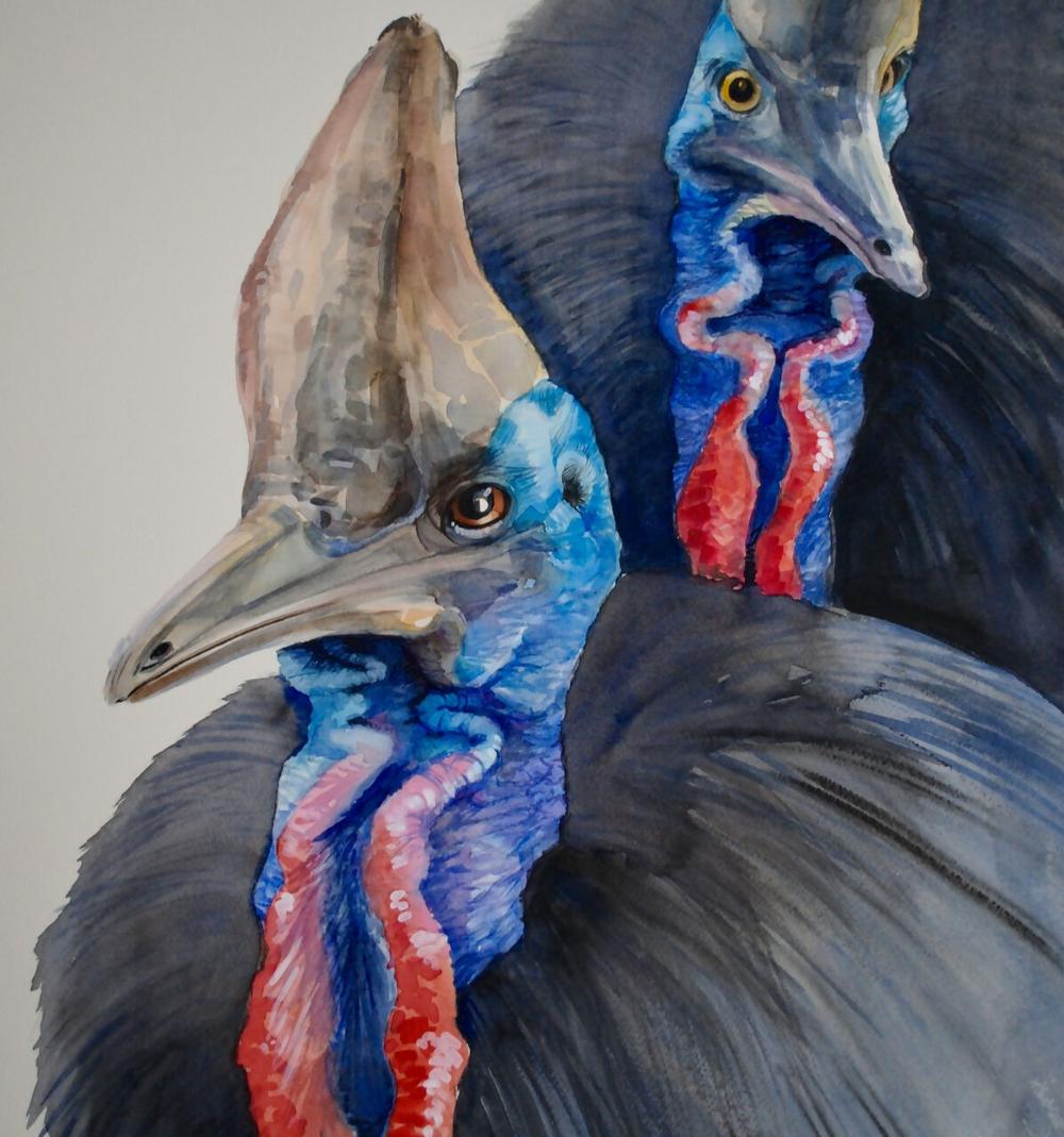 Cassowaries Beware-by-Carol Forbes Croad-original art-Gioia