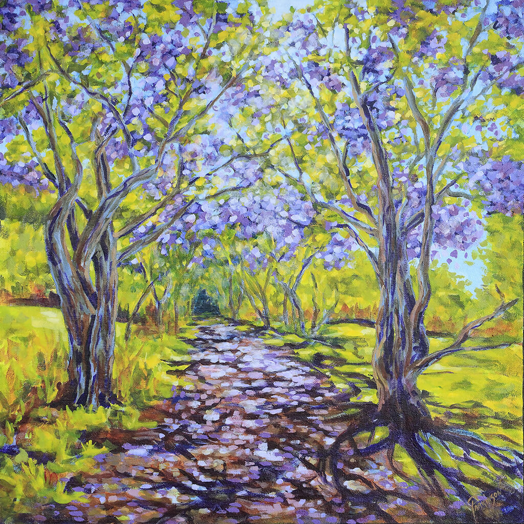 Jacarandas Heralding Summer