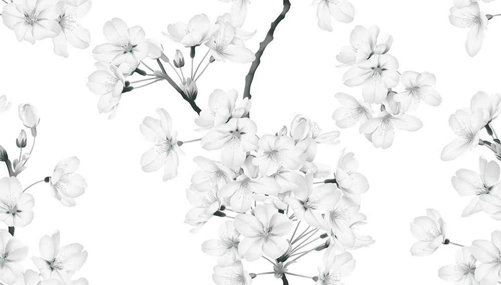 Cherry Blossum, Style D, Wallpaper
